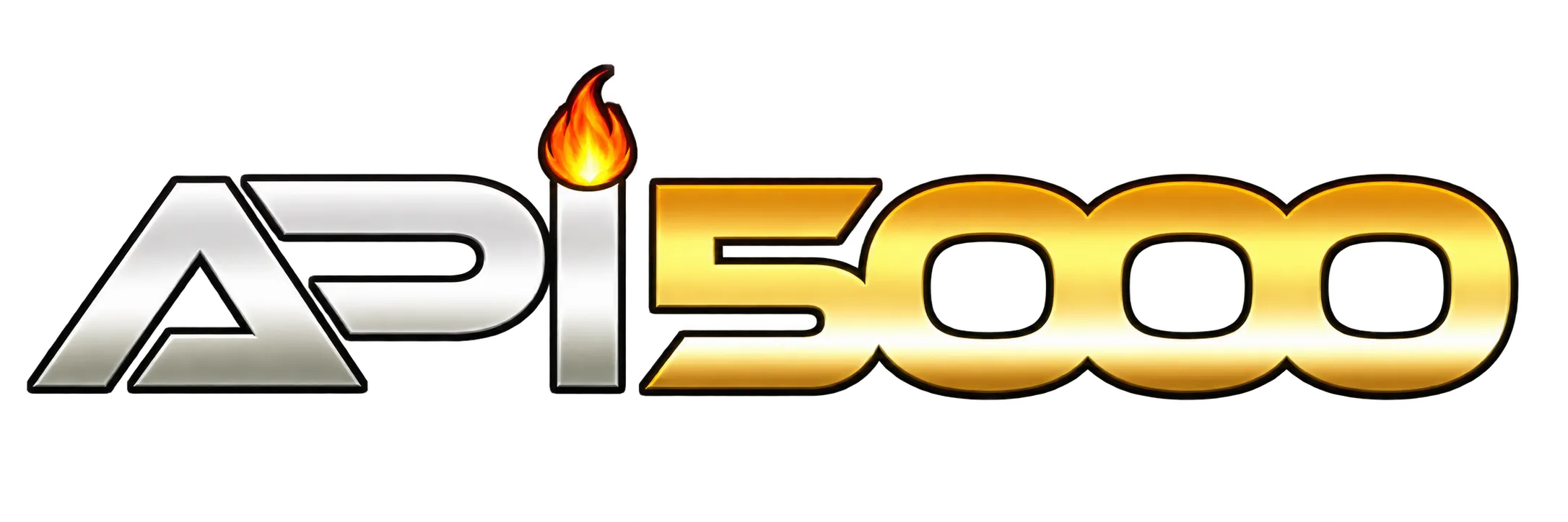 Logo api5000